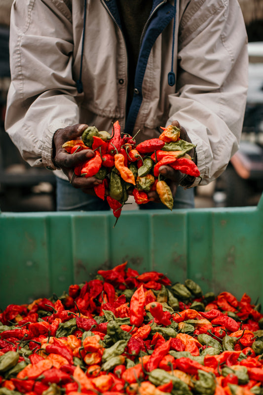 SPICE UP YOUR LIFE : UNDERSTANDING THE SCOVILLE SCALE