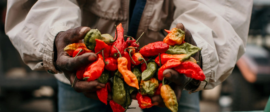 SPICE UP YOUR LIFE : UNDERSTANDING THE SCOVILLE SCALE